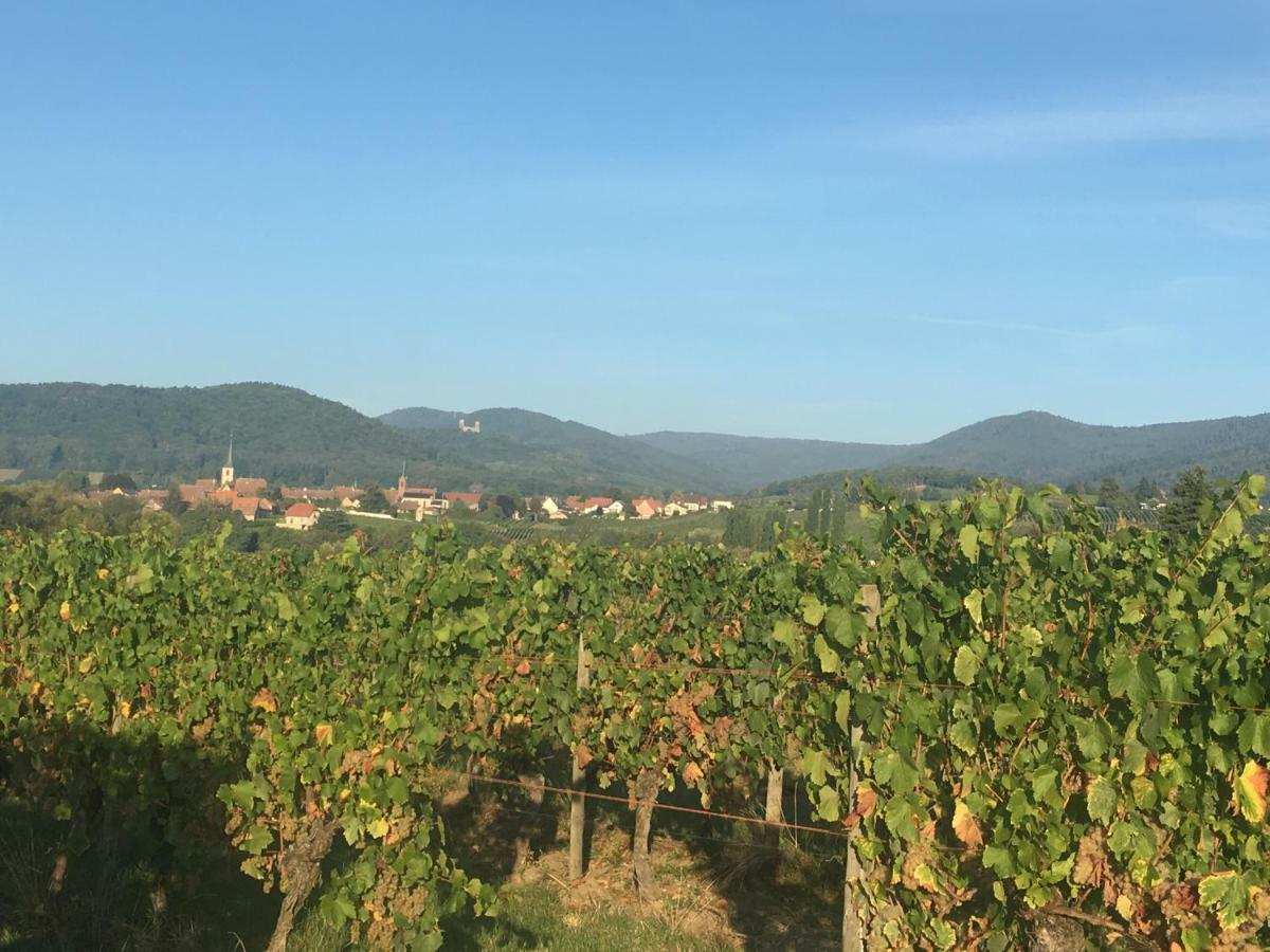 La Parenthese Villa Gertwiller Buitenkant foto