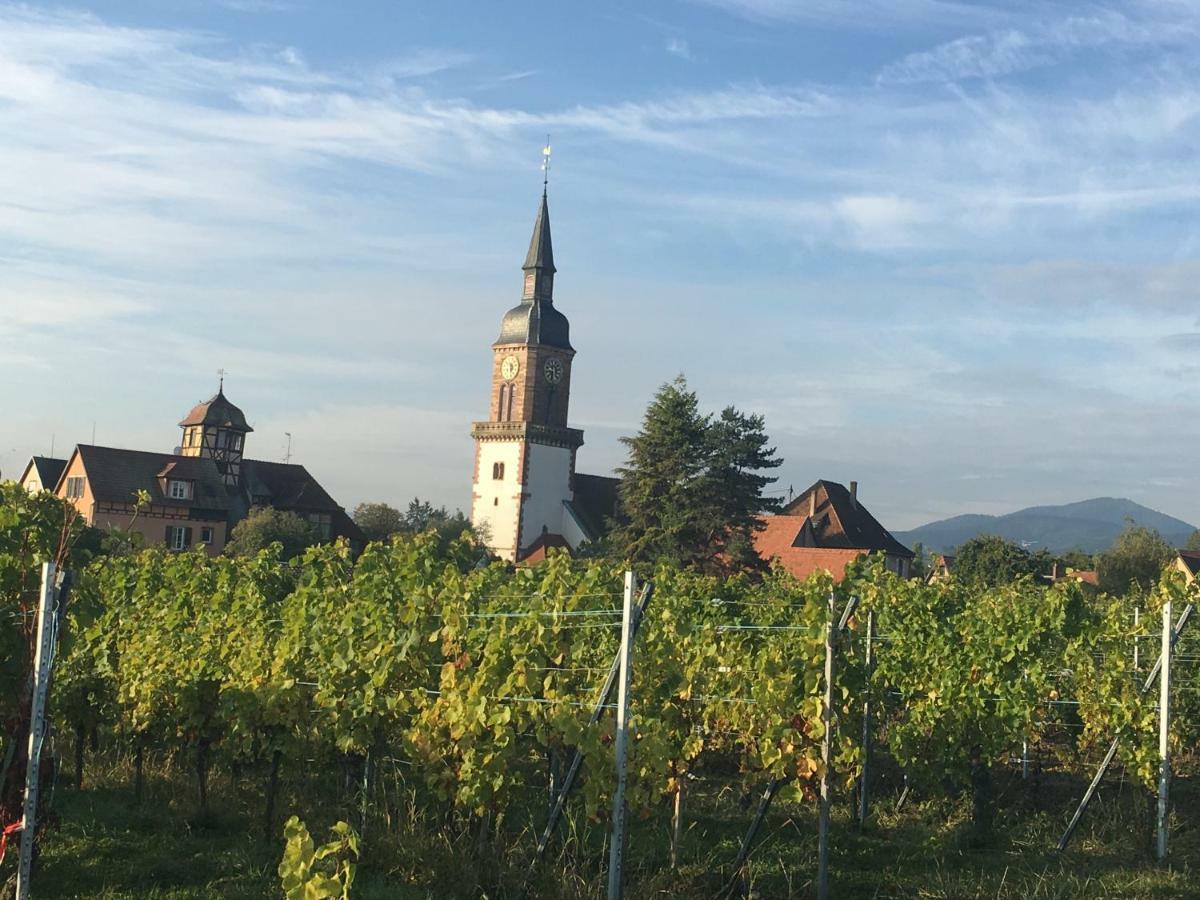 La Parenthese Villa Gertwiller Buitenkant foto